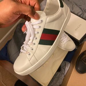 Gucci ace